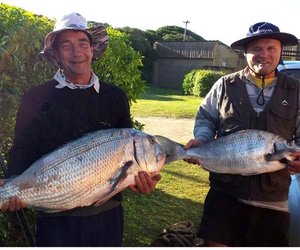 Dwarswater se Grotes